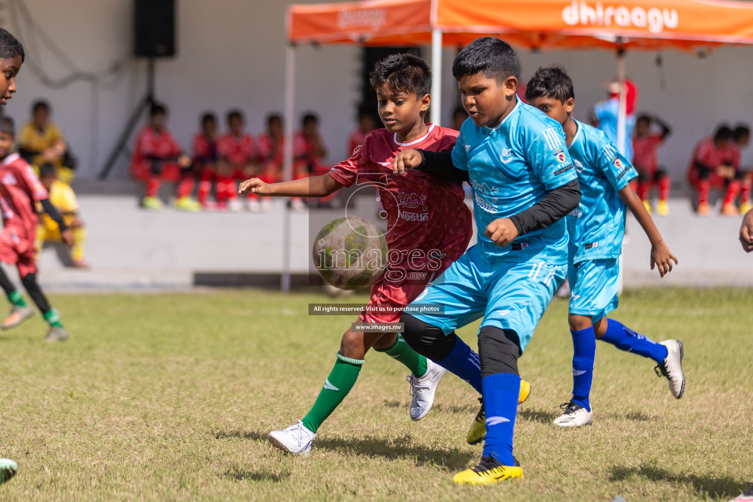 Day 3 of Nestle Kids Football Fiesta, held in Henveyru Football Stadium, Male', Maldives on Friday, 13th October 2023
Photos: Hassan Simah, Ismail Thoriq / images.mv