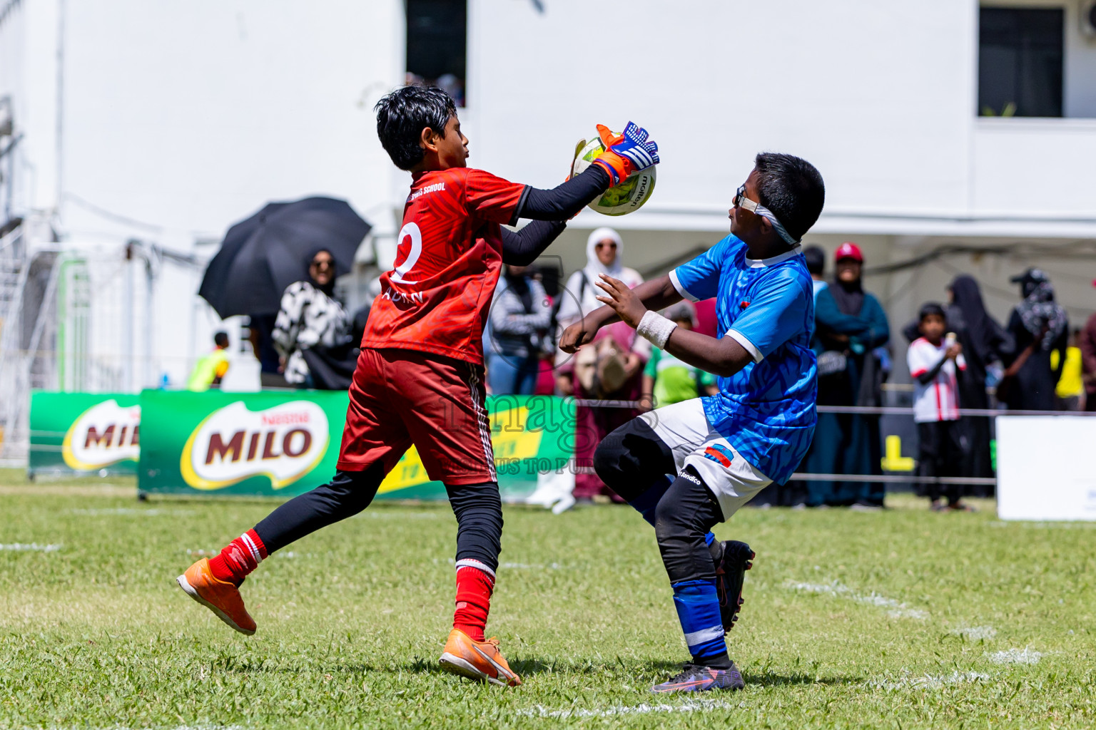 Day 3 MILO Kids 7s Weekend 2024 held in Male, Maldives on Saturday, 19th October 2024. Photos: Nausham Waheed / images.mv