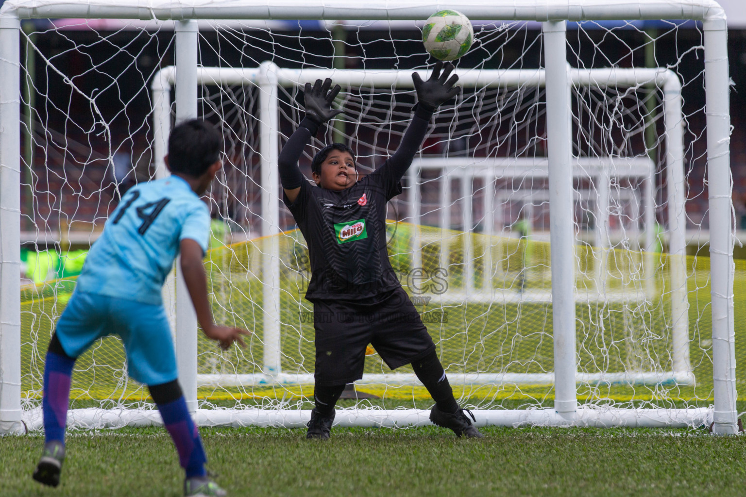 Day 2 of MILO Kids Football Fiesta was held at National Stadium in Male', Maldives on Saturday, 24th February 2024.