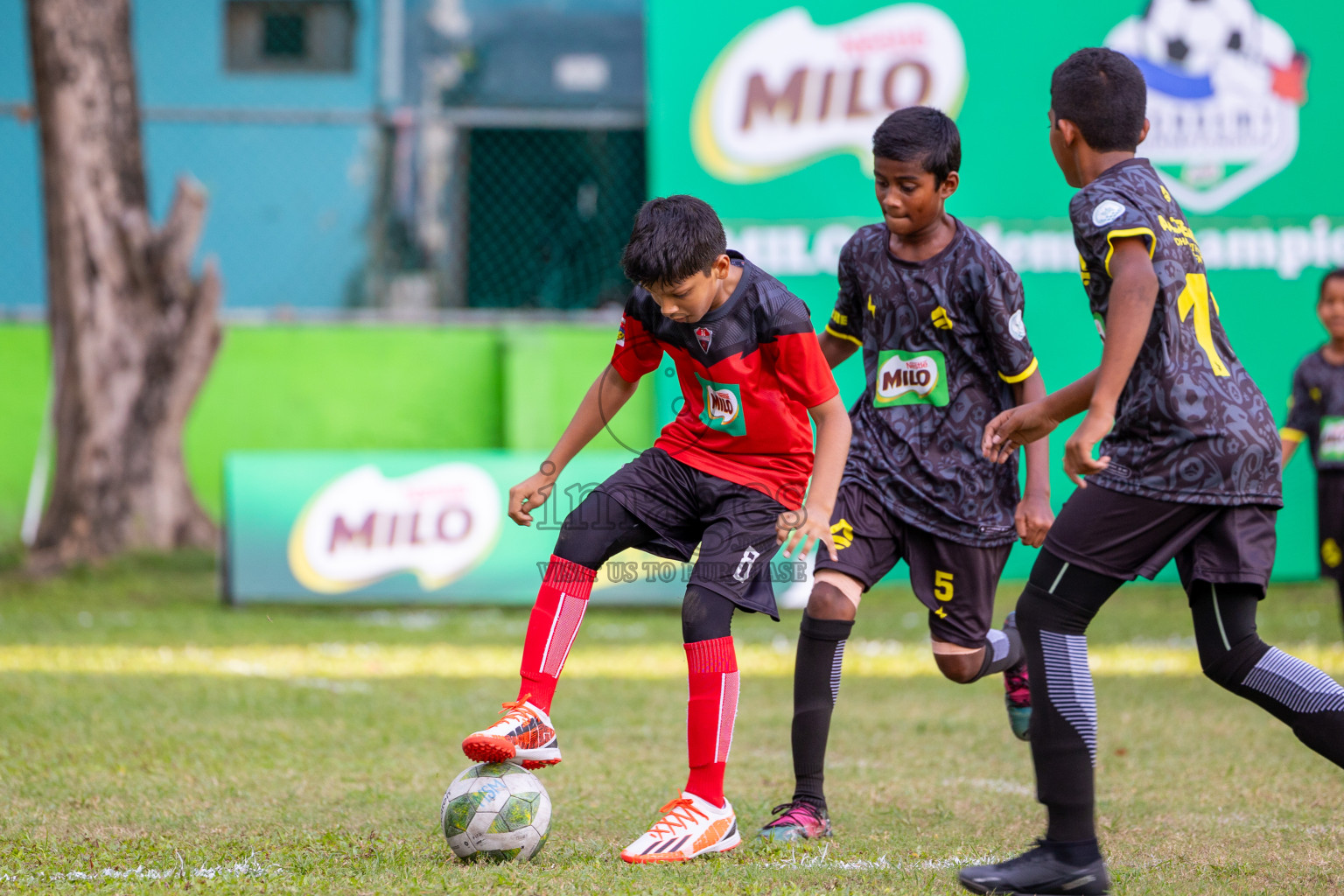 Day 1 of MILO Academy Championship 2024 - U12 was held at Henveiru Grounds in Male', Maldives on Thursday, 4th July 2024. 
Photos: Ismail Thoriq / images.mv