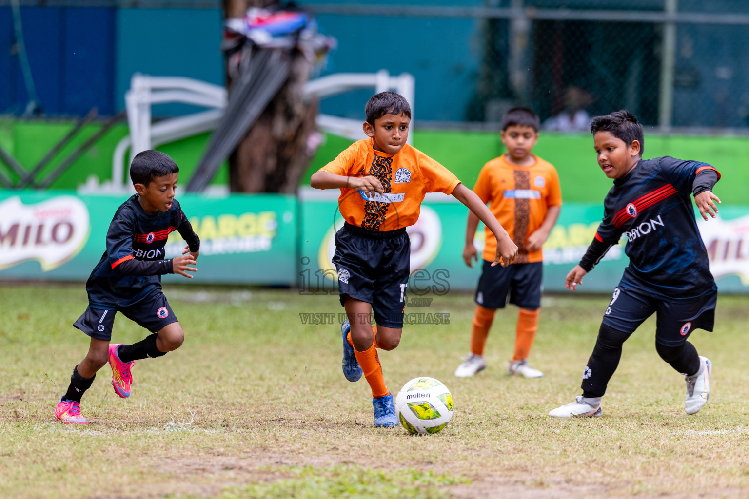 Day 3 of MILO SVAM Juniors 2025 (U-8) was held at Henveiru Stadium in Male', Maldives on Saturday, 28th June 2025. 
Photos: Hassan Simah / images.mv