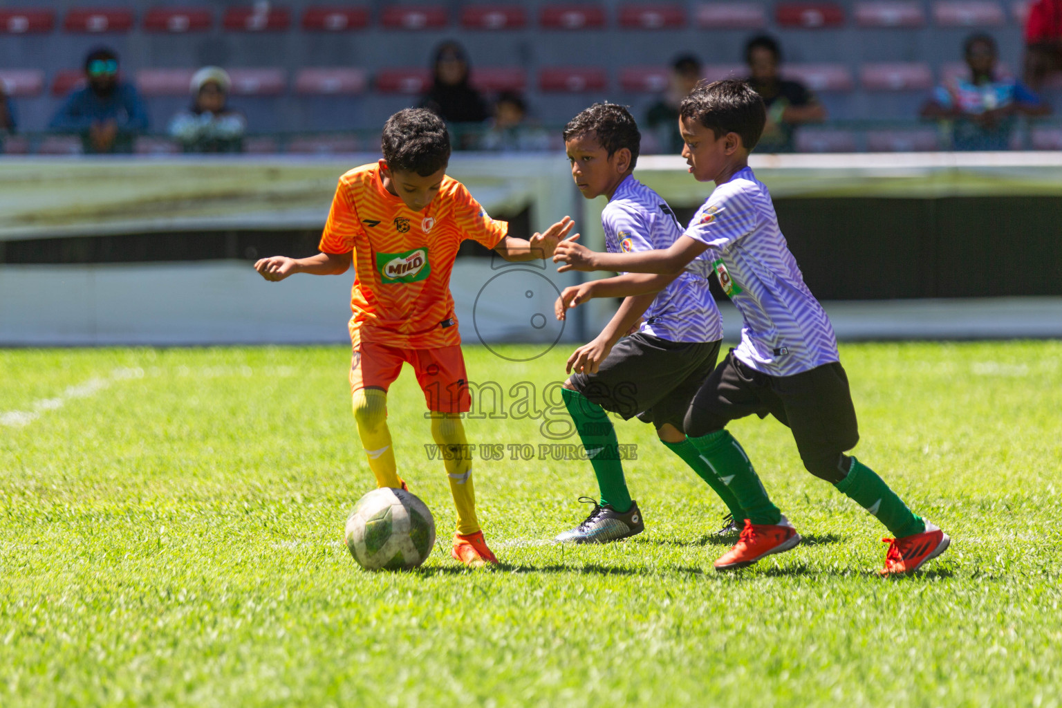 Day 1 of MILO Kids Football Fiesta was held at National Stadium in Male', Maldives on Friday, 23rd February 2024.