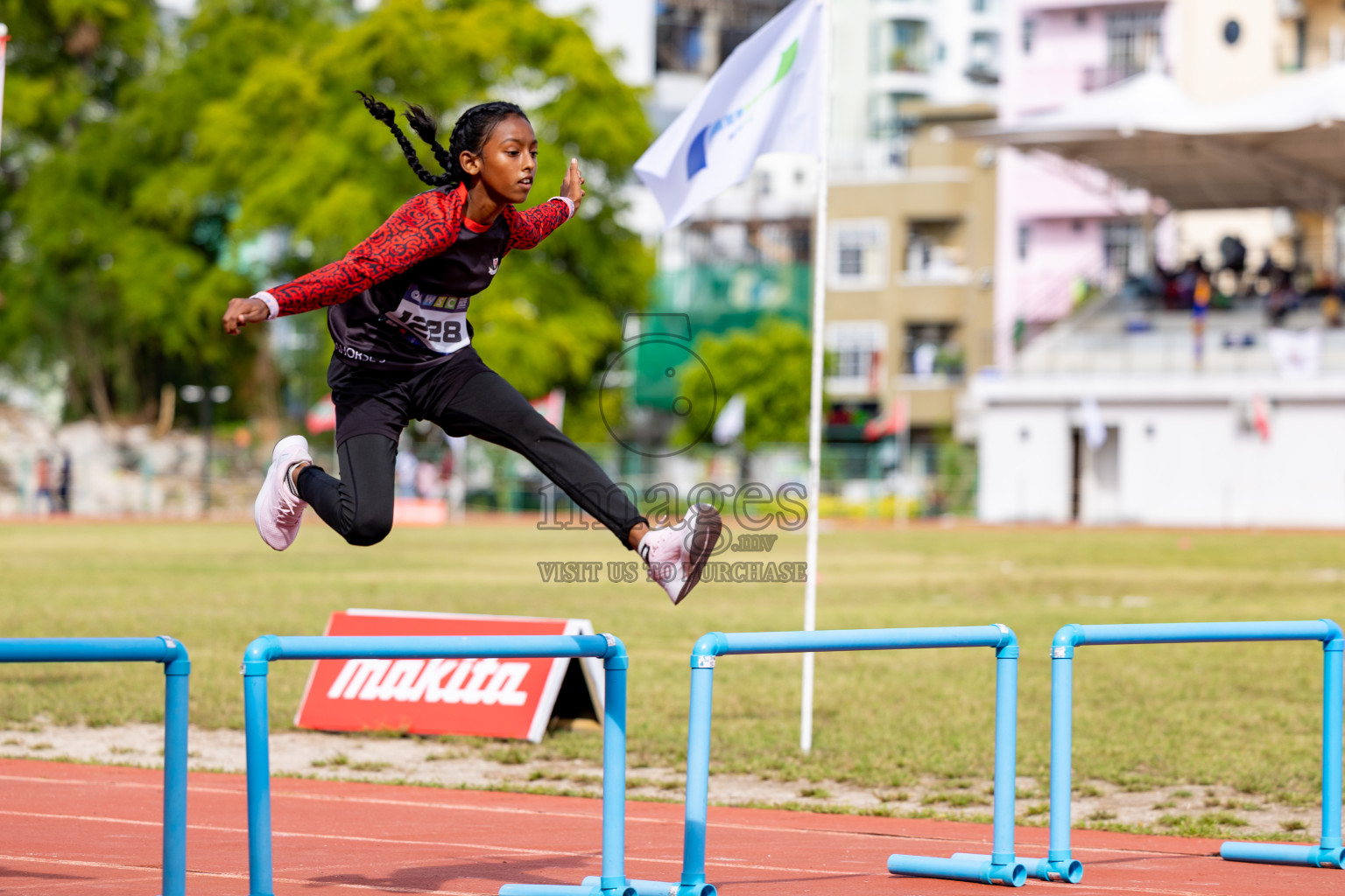 Day 2 of MWSC Interschool Athletics Championships 2024 held in Hulhumale Running Track, Hulhumale, Maldives on Sunday, 10th November 2024. 
Photos by: Hassan Simah / Images.mv