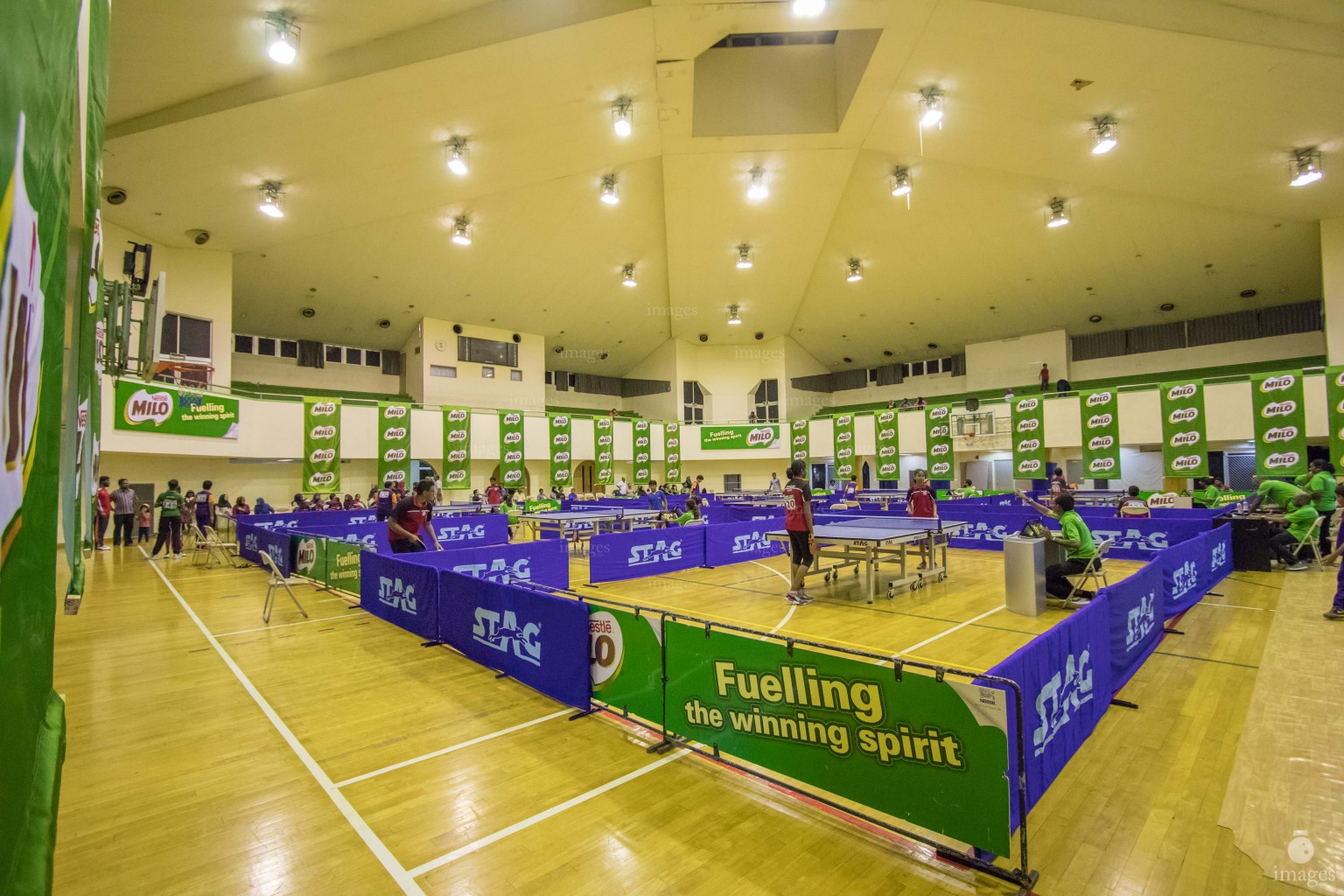 9th Milo Inter-school  Table Tennis Championship  2017 Day 1 Saturday, September. 9, 2017.( Images.mv Photo/ Abdulla Abeedh ).