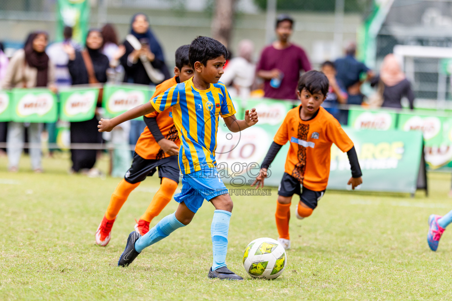 Day 1 of MILO SVAM Juniors 2025 (U-8) was held at Henveiru Stadium in Male', Maldives on Thursday, 26th June 2025. 
Photos: Hassan Simah / images.mv