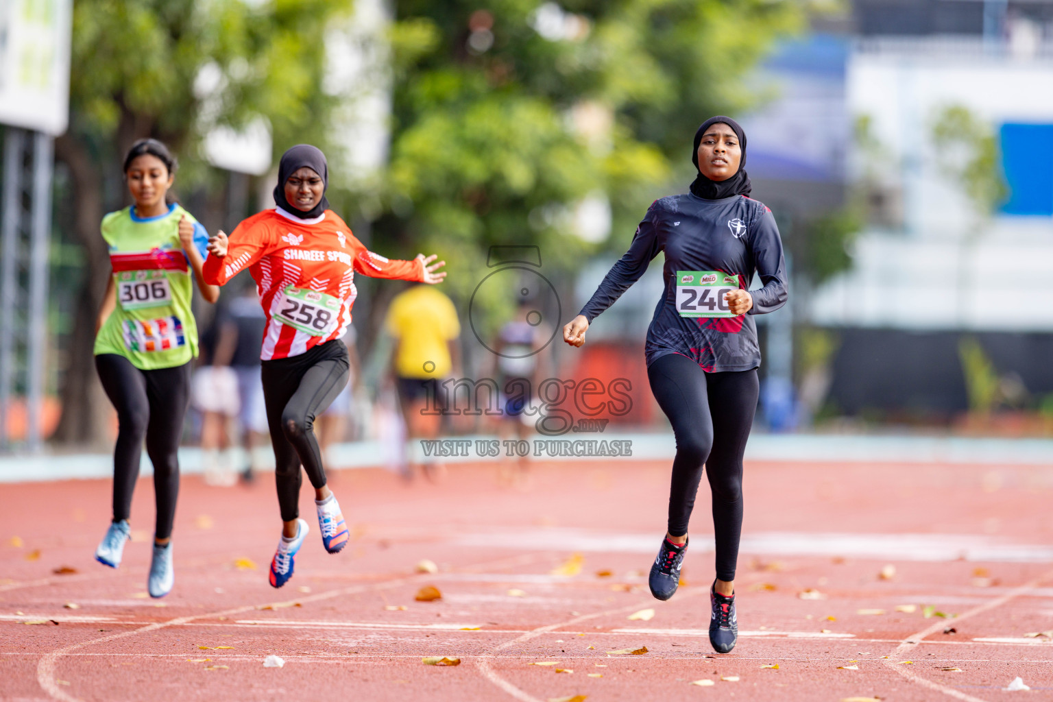 Day 2 of 12th Milo Association Championships was held in Ekuveni Track at Male', Maldives on Friday, 25th April 2025. 
Photos: Hassan Simah / images.mv