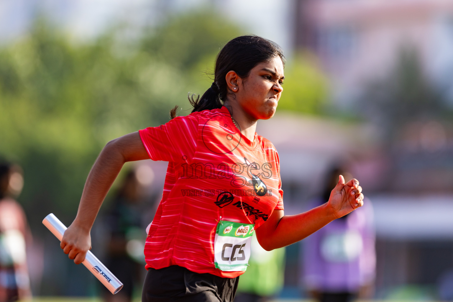 Day 3 of MILO Athletics Association Championship was held on Thursday, 7th May 2024 in Male', Maldives. Photos: Nausham Waheed