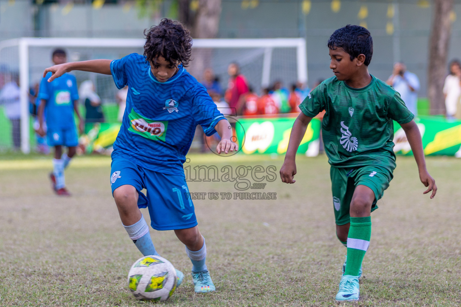 Day 2  of MILO Academy Championship 2024 - U12 was held at Henveiru Grounds in Male', Maldives on Thursday, 5th July 2024. Photos: Shuu Abdul Sattar / images.mv