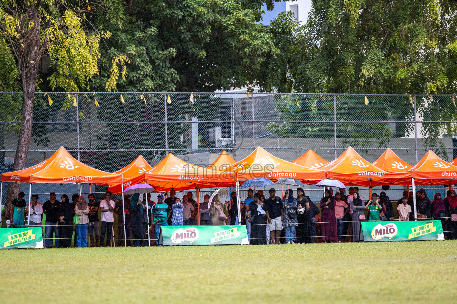 Day 4 of MILO Academy Championship 2024 (U-14) was held in Henveyru Stadium, Male', Maldives on Sunday, 3rd November 2024.
Photos: Ismail Thoriq /  Images.mv