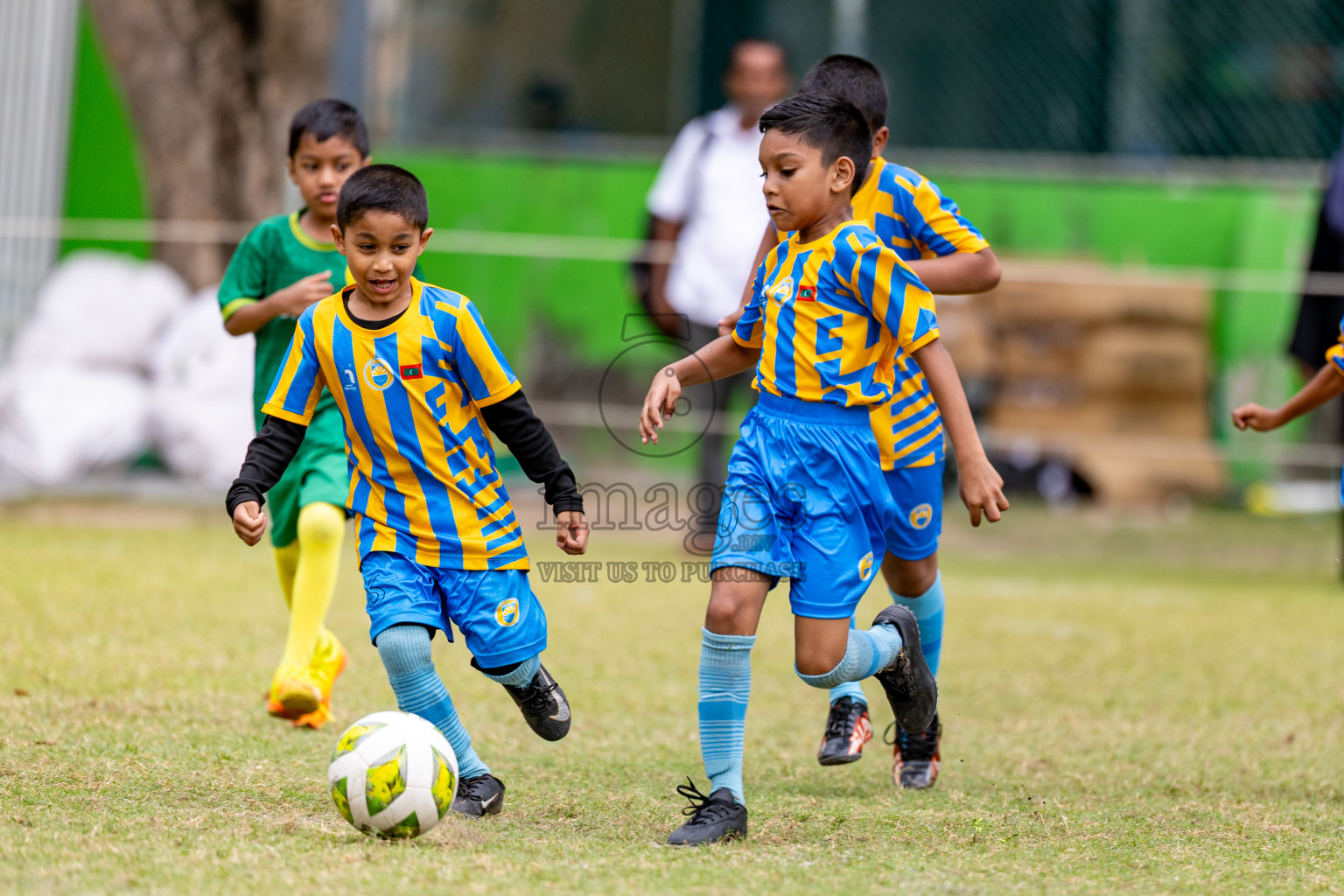 Day 1 of MILO SVAM Juniors 2025 (U-8) was held at Henveiru Stadium in Male', Maldives on Thursday, 26th June 2025. 
Photos: Hassan Simah / images.mv