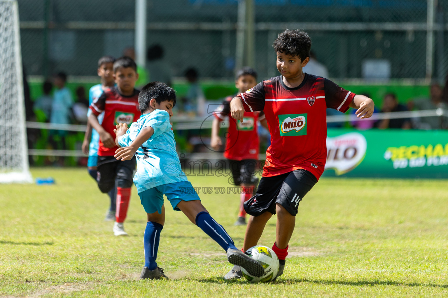 Day 2 of MILO Academy Championship 2025 was held on Friday, 14th February 2025 in Henveiru Stadium.
Photos: Mohamed Mahfooz Moosa / Images.mv
