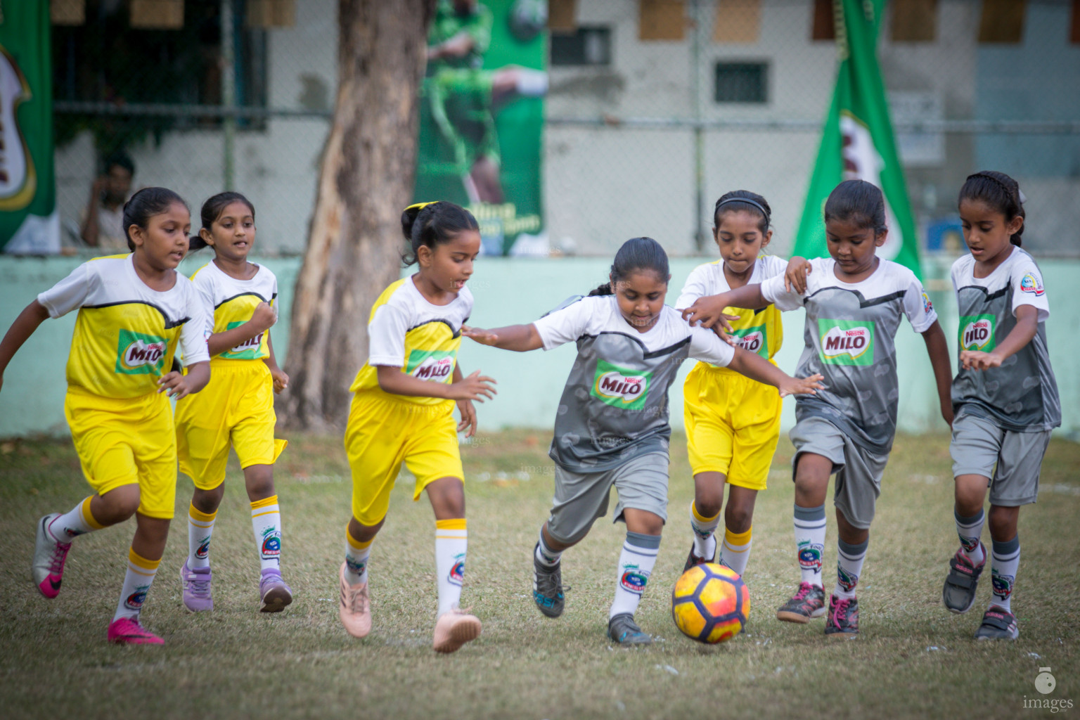 Day 1 of Milo Kids Football Fiesta in Henveiru Grounds in Male', Maldives, Thursday, February 20th 2019 (Images.mv Photo/Ismail Thoriq)