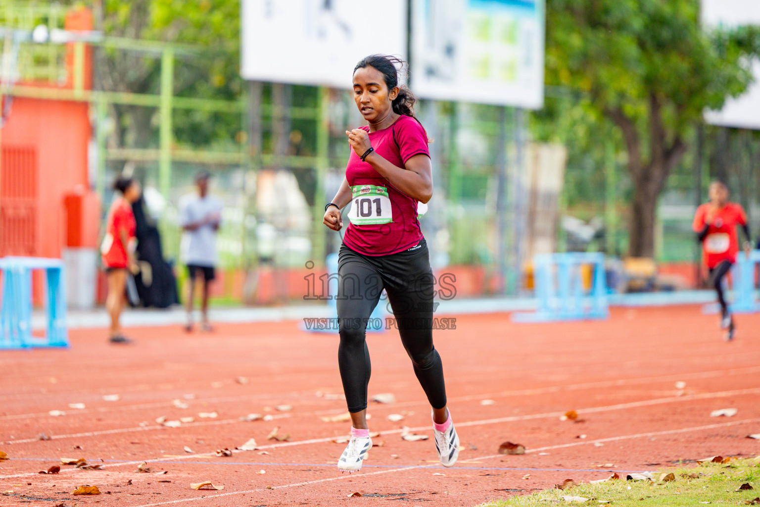 Day 2 of 12th Milo Association Championships was held in Ekuveni Track at Male', Maldives on Friday, 25th April 2025. Photos: Hassan Simah / images.mv