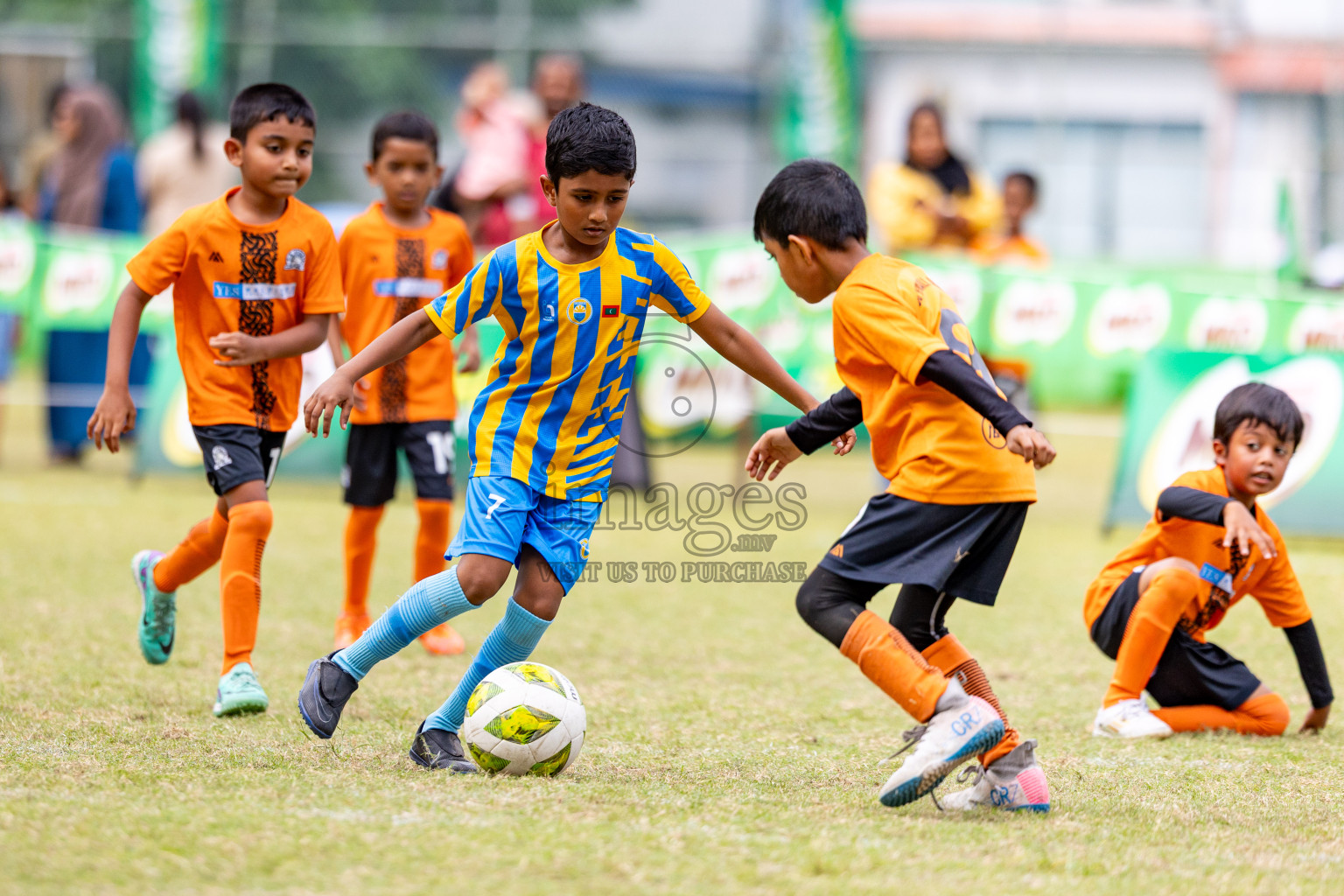 Day 1 of MILO SVAM Juniors 2025 (U-8) was held at Henveiru Stadium in Male', Maldives on Thursday, 26th June 2025. 
Photos: Hassan Simah / images.mv