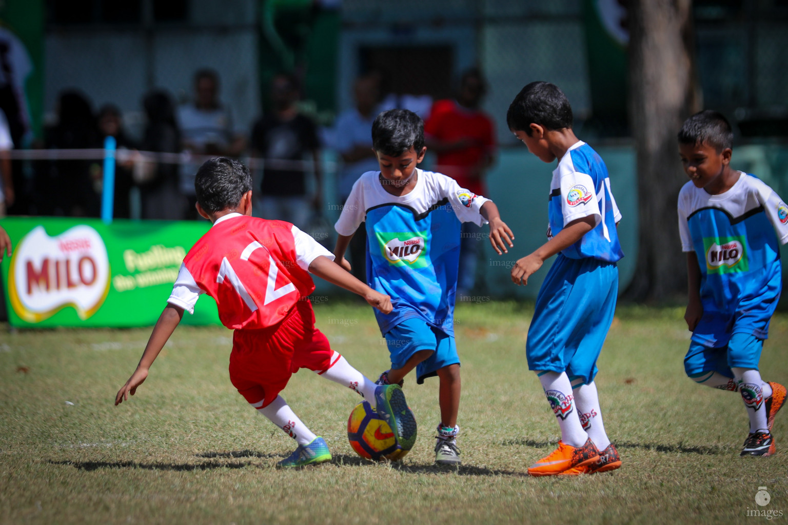 Day 3 of MILO Kids Football Fiesta in Henveiru Grounds in Male', Maldives, Friday, February 22nd 2019 (Images.mv Photo / Ismail Thoriq)