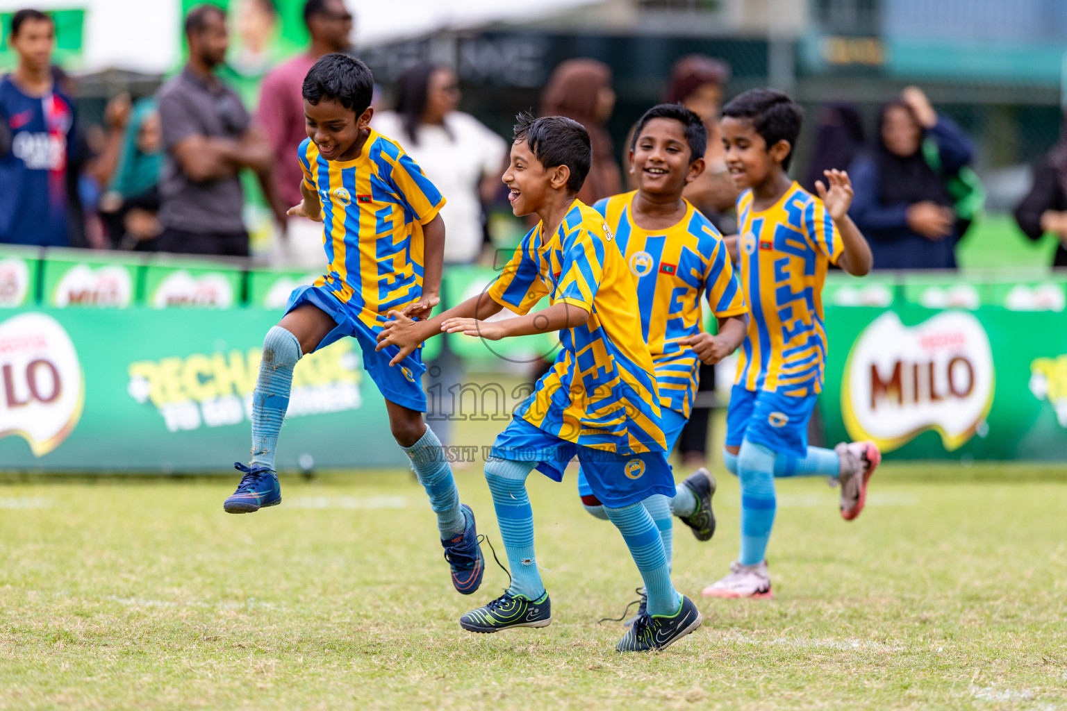 Day 1 of MILO SVAM Juniors 2025 (U-8) was held at Henveiru Stadium in Male', Maldives on Thursday, 26th June 2025. 
Photos: Hassan Simah / images.mv