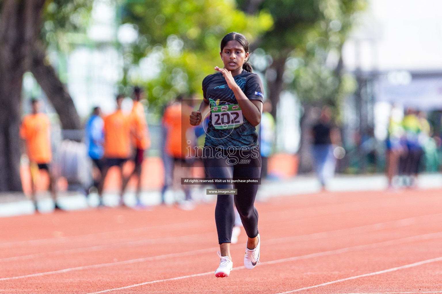 Day 3 of National Athletics Championship 2023 was held in Ekuveni Track at Male', Maldives on Saturday, 25th November 2023. Photos: Nausham Waheed / images.mv