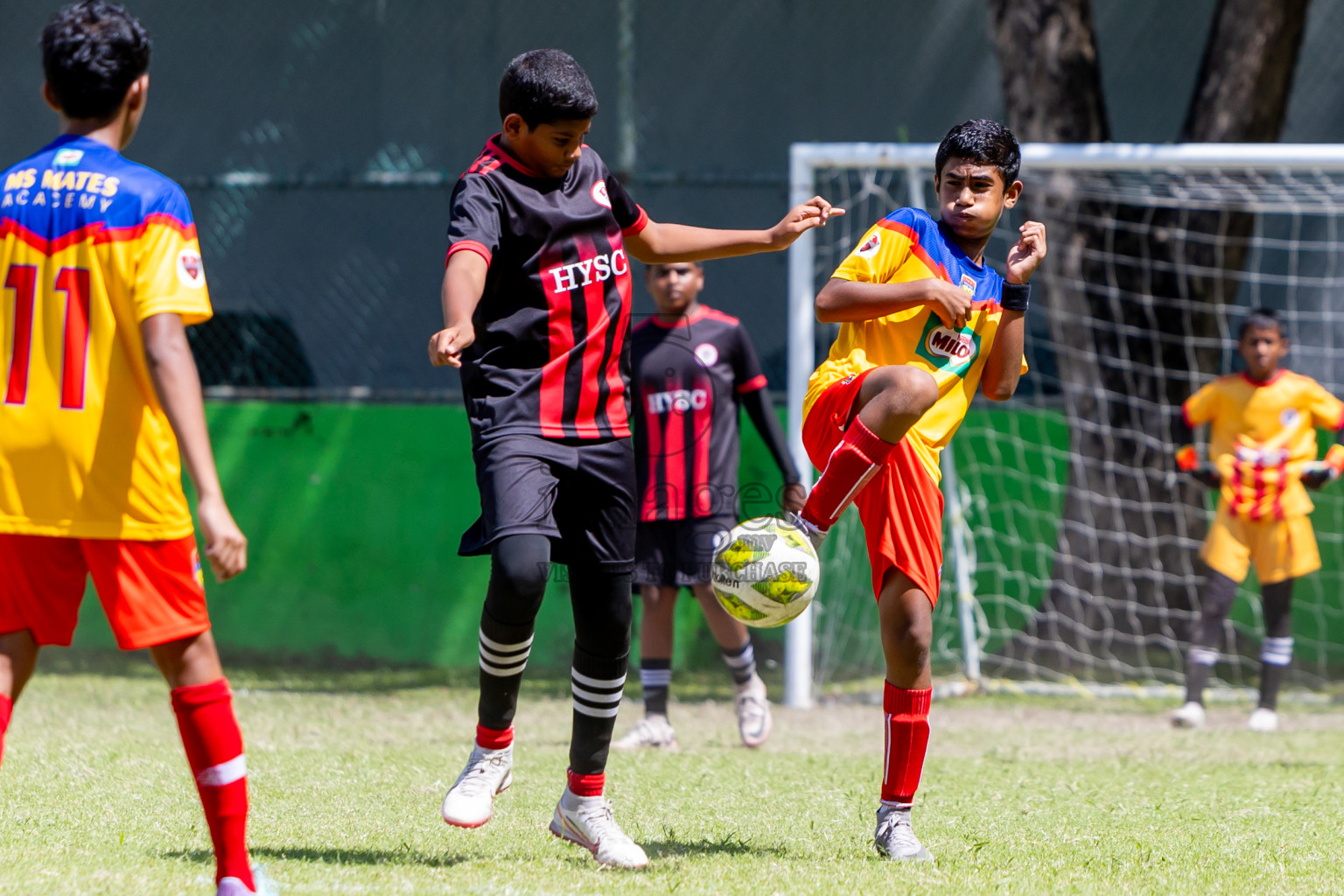 Day 3 MILO Kids 7s Weekend 2024 held in Male, Maldives on Saturday, 19th October 2024. Photos: Nausham Waheed / images.mv