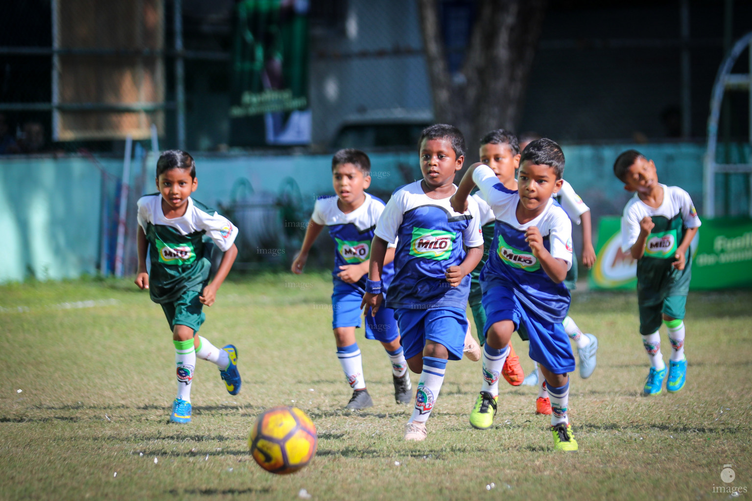 Day 3 of MILO Kids Football Fiesta in Henveiru Grounds in Male', Maldives, Friday, February 21st 2019 (Images.mv Photo/ Ismail Thoriq)