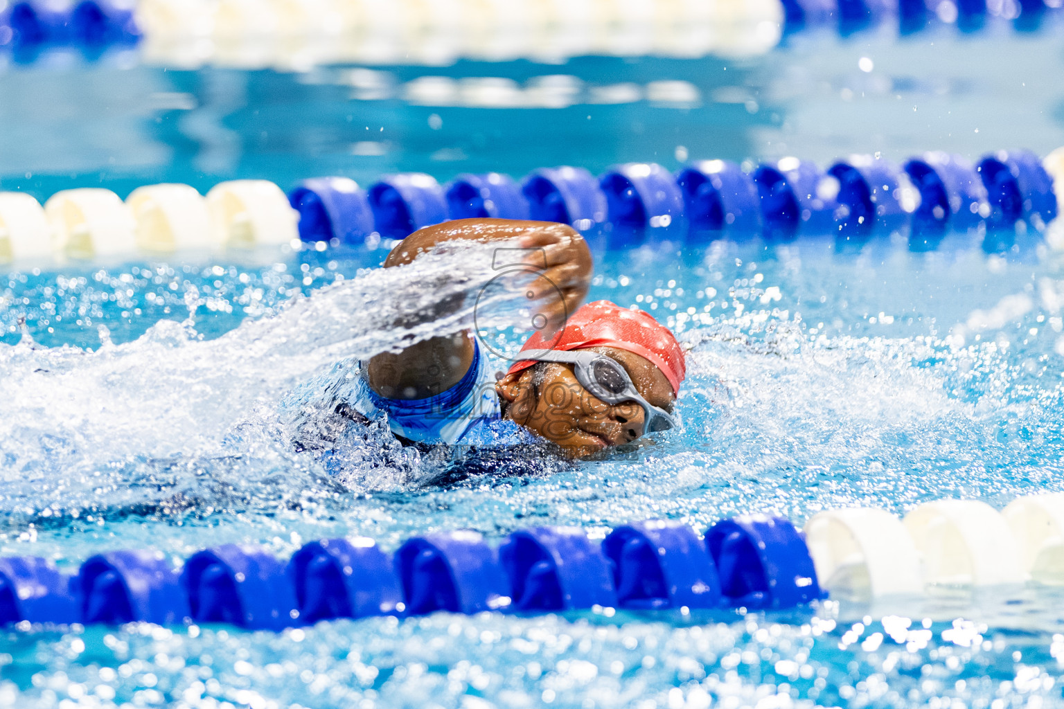 Day 2 of BML 6th National Kids Swimming Kids Festival 2025 held in Hulhumale', Maldives on Tuesday, 4th November 2024. Photos: Hassan Simah / images.mv