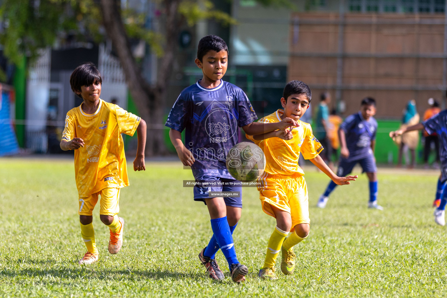 Day 2 of Nestle kids football fiesta, held in Henveyru Football Stadium, Male', Maldives on Thursday, 12th October 2023 Photos: Ismail Thoriq / Images.mv