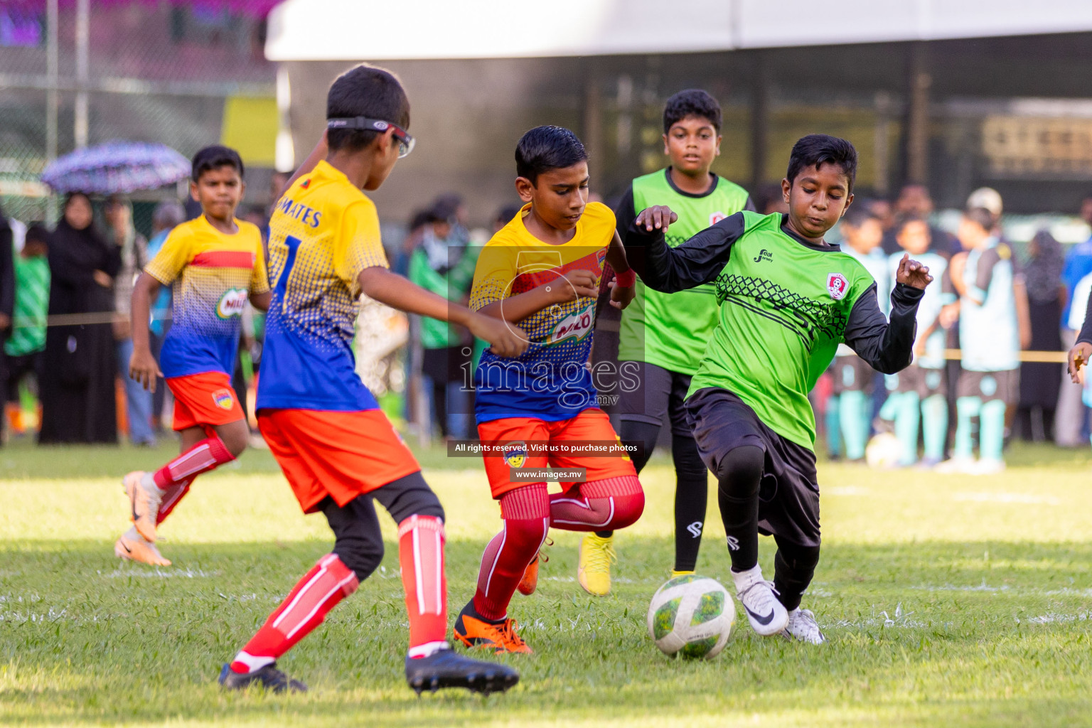 Day 1 of MILO Academy Championship 2023 (U12) was held in Henveiru Football Grounds, Male', Maldives, on Friday, 18th August 2023. 
Photos: Ismail Thoriq / images.mv