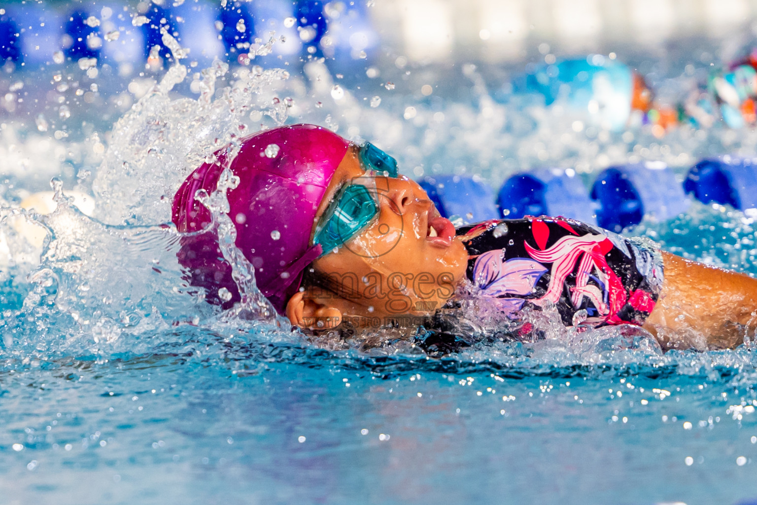 Day 3 of BML 5th National Swimming Kids Festival 2024 held in Hulhumale', Maldives on Wednesday, 20th November 2024. Photos: Nausham Waheed / images.mv