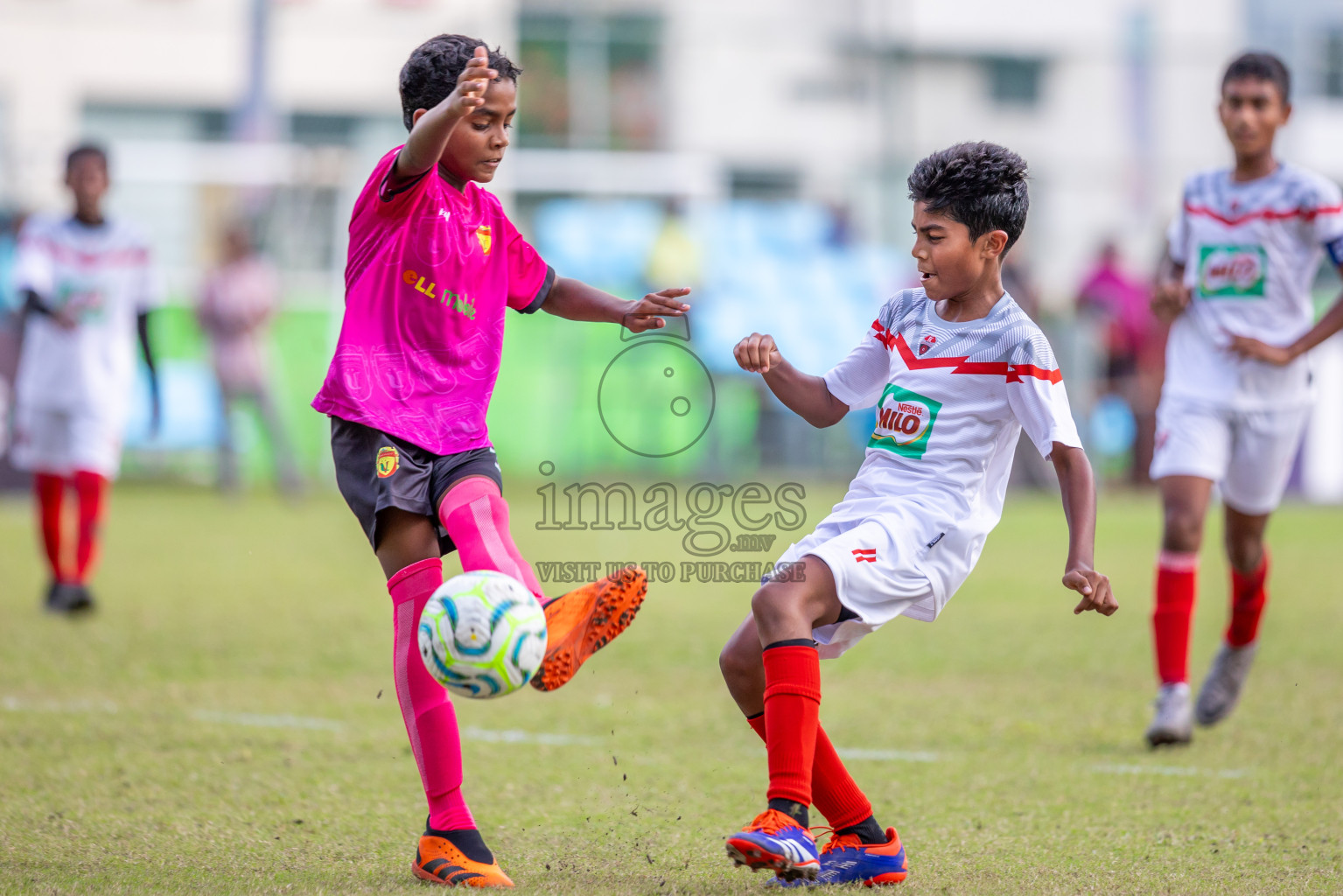 Dhivehi Youth League 2024 - Day 1. Matches held at Henveiru Stadium on 21st November 2024 , Thursday. Photos: Shuu Abdul Sattar/ Images.mv