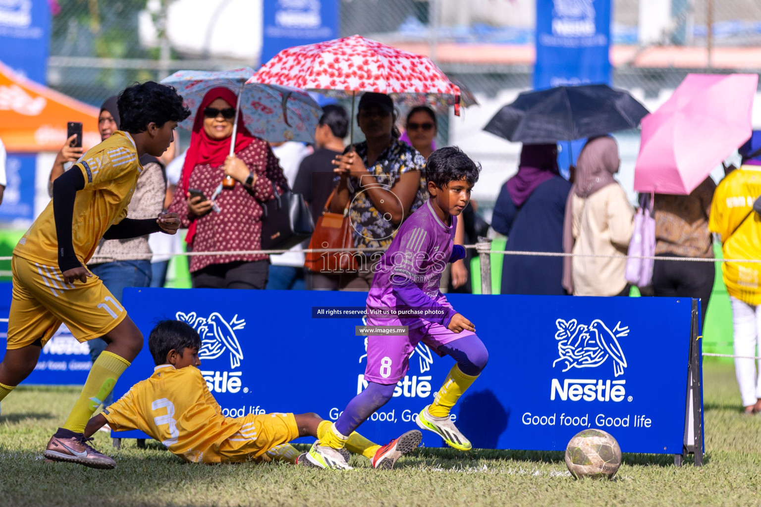 Day 2 of Nestle kids football fiesta, held in Henveyru Football Stadium, Male', Maldives on Thursday, 12th October 2023 Photos: Ismail Thoriq / Images.mv