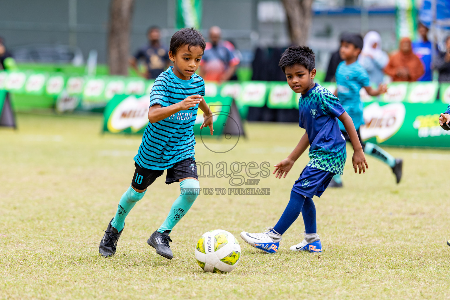 Day 1 of MILO SVAM Juniors 2025 (U-8) was held at Henveiru Stadium in Male', Maldives on Thursday, 26th June 2025. 
Photos: Hassan Simah / images.mv