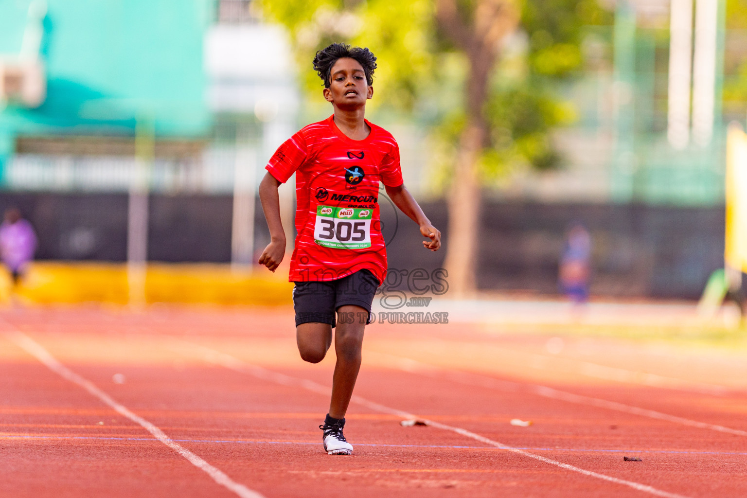 Day 2 of MILO Athletics Association Championship was held on Wednesday, 6th May 2024 in Male', Maldives. Photos: Nausham Waheed