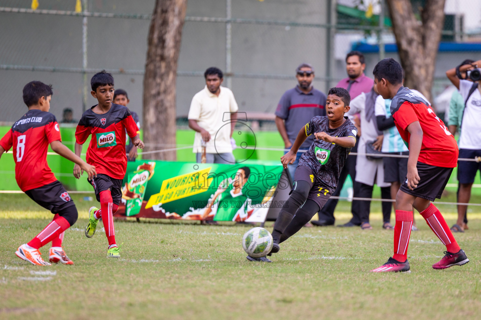 Day 1 of MILO Academy Championship 2024 - U12 was held at Henveiru Grounds in Male', Maldives on Thursday, 4th July 2024. 
Photos: Ismail Thoriq / images.mv