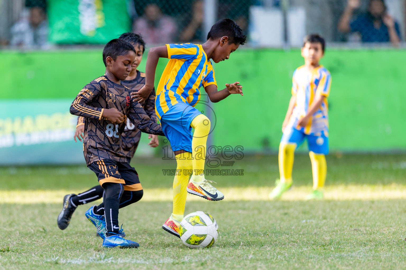 Day 2 of MILO SVAM Juniors 2025 (U-8) was held at Henveiru Stadium in Male', Maldives on Friday, 27th June 2025. 

Photos: Hassan Simah / images.mv
