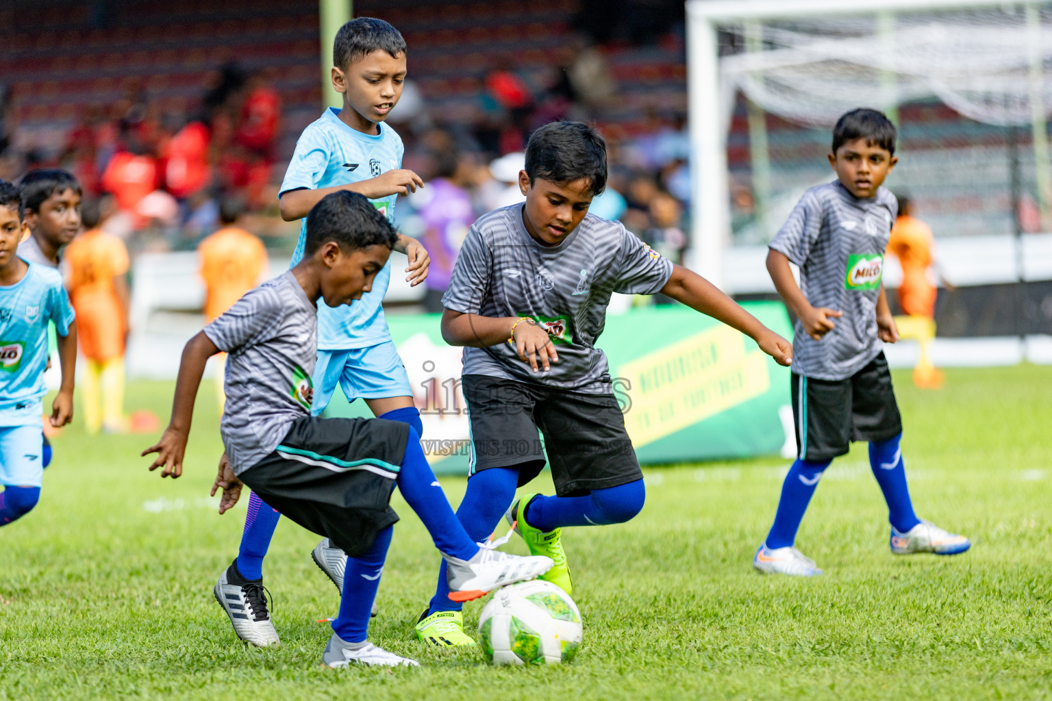 Day 1 of MILO Kids Football Fiesta was held at National Stadium in Male', Maldives on Friday, 23rd February 2024. 
Photos: Hassan Simah / images.mv