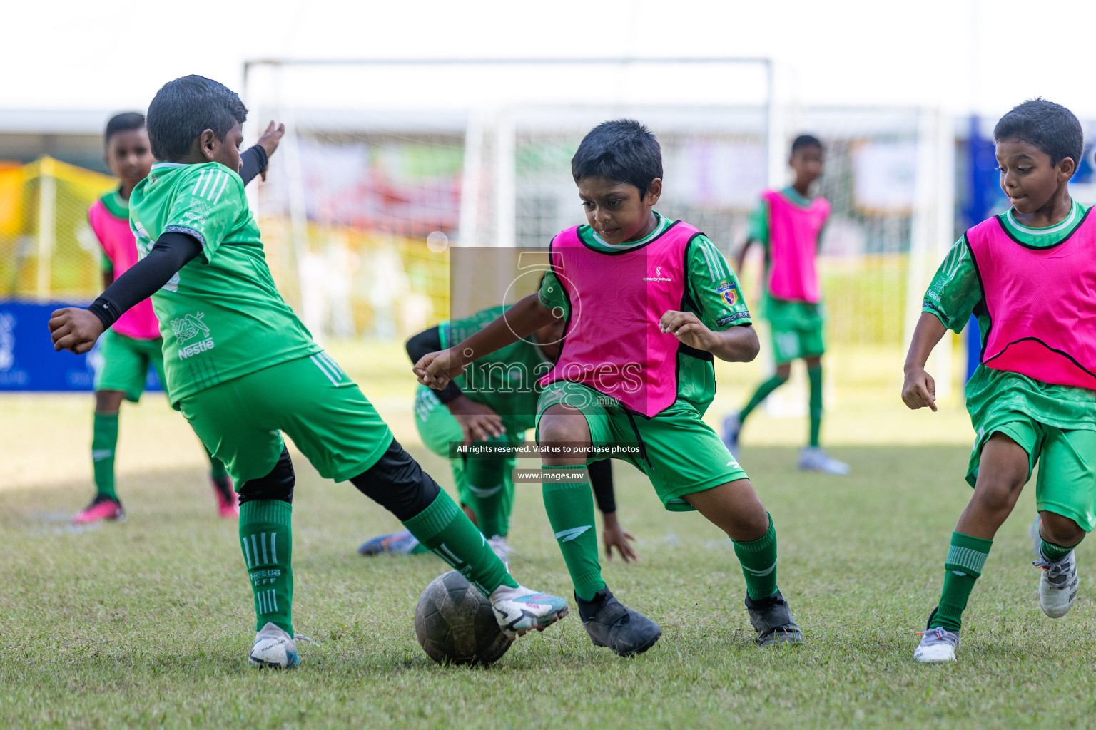 Nestle Kids Football Fiesta 2023 - Day 4
Day 4 of Nestle Kids Football Fiesta, held in Henveyru Football Stadium, Male', Maldives on Saturday, 14th October 2023 Photos: Nausham Waheed / images.mv