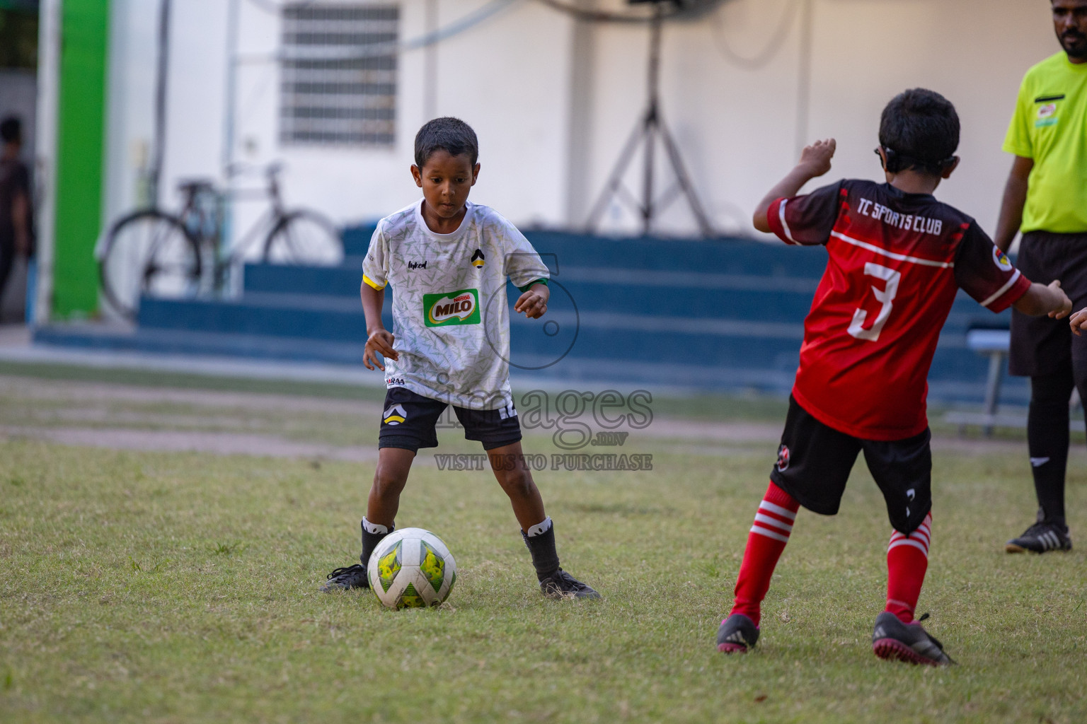 Day 2 of MILO Academy Championship 2025 was held on Friday, 14th February 2025 in Henveiru Stadium. 
Photos: Hassan Simah / Images.mv