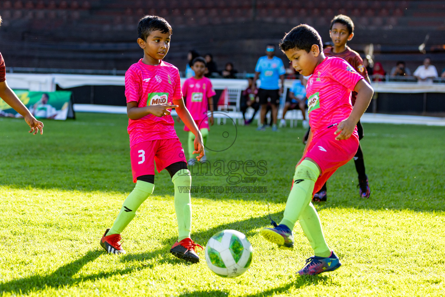 Day 1 of MILO Kids Football Fiesta was held at National Stadium in Male', Maldives on Friday, 23rd February 2024. 
Photos: Hassan Simah / images.mv
