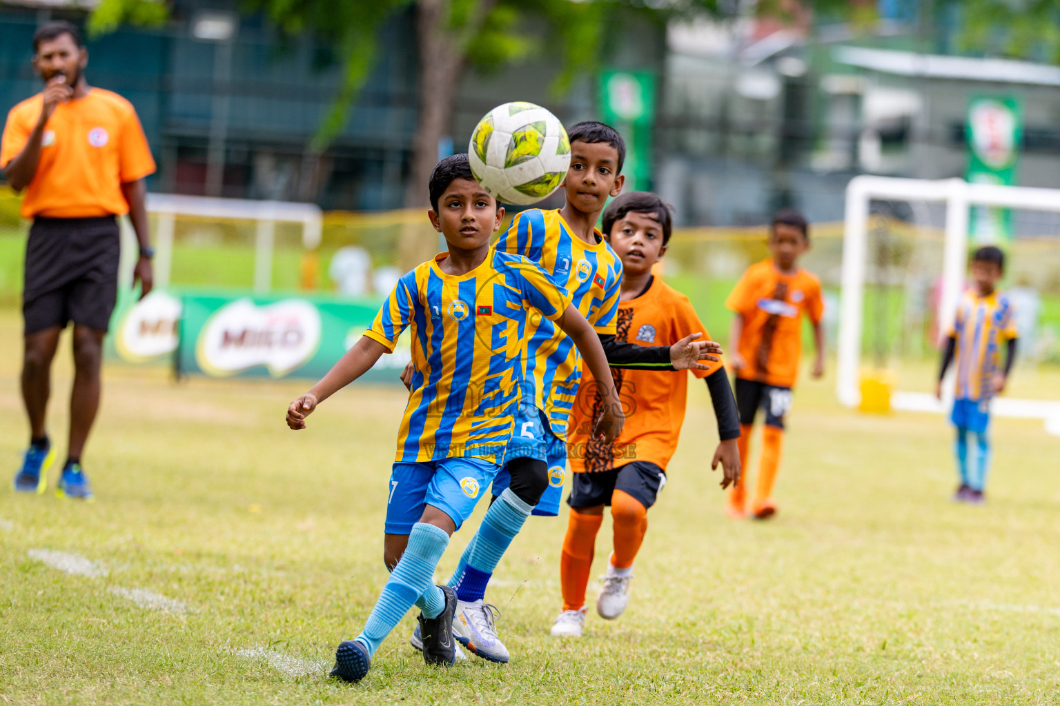 Day 1 of MILO SVAM Juniors 2025 (U-8) was held at Henveiru Stadium in Male', Maldives on Thursday, 26th June 2025. 
Photos: Hassan Simah / images.mv