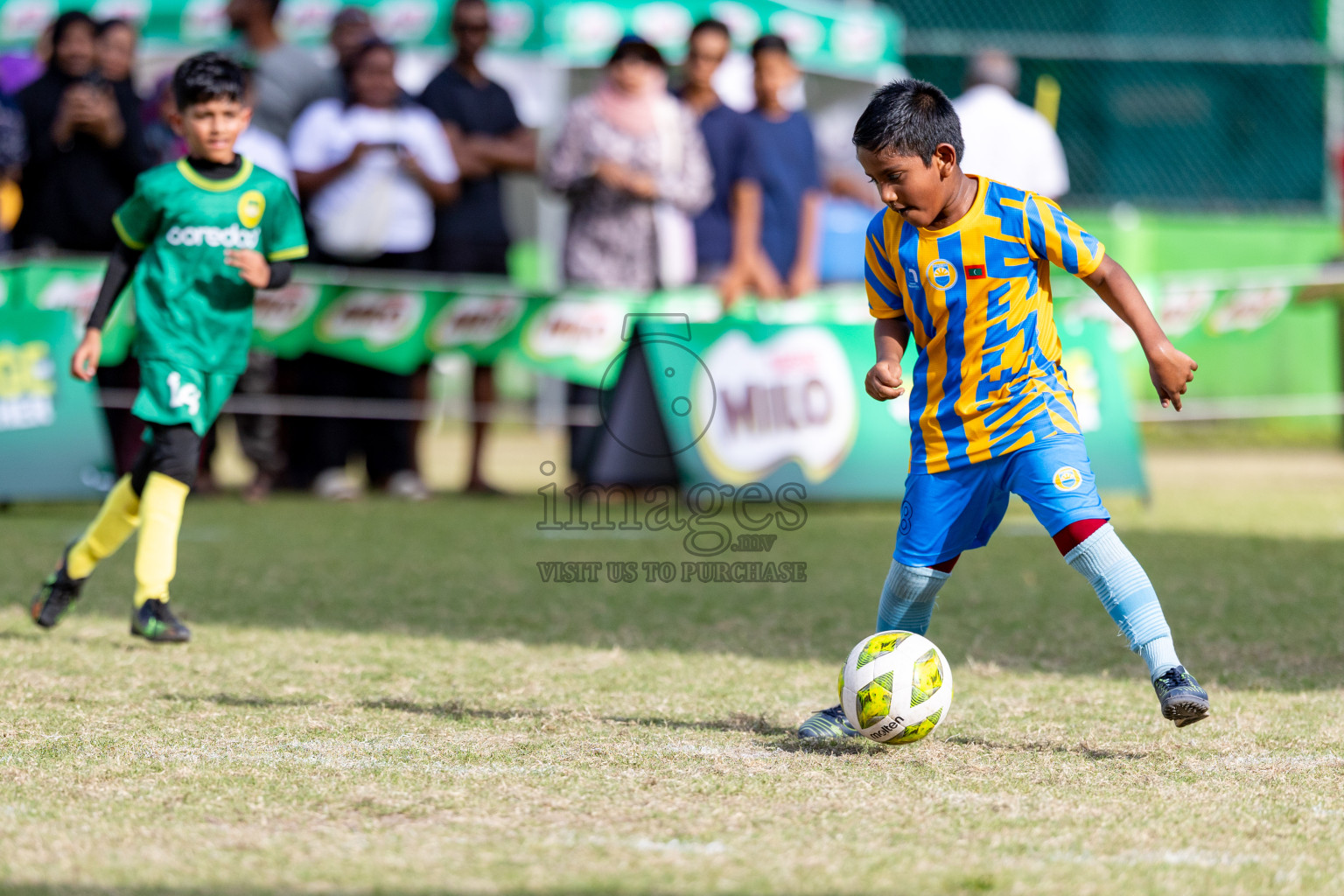 Day 2 of MILO SVAM Juniors 2025 (U-8) was held at Henveiru Stadium in Male', Maldives on Friday, 27th June 2025. 

Photos: Hassan Simah / images.mv