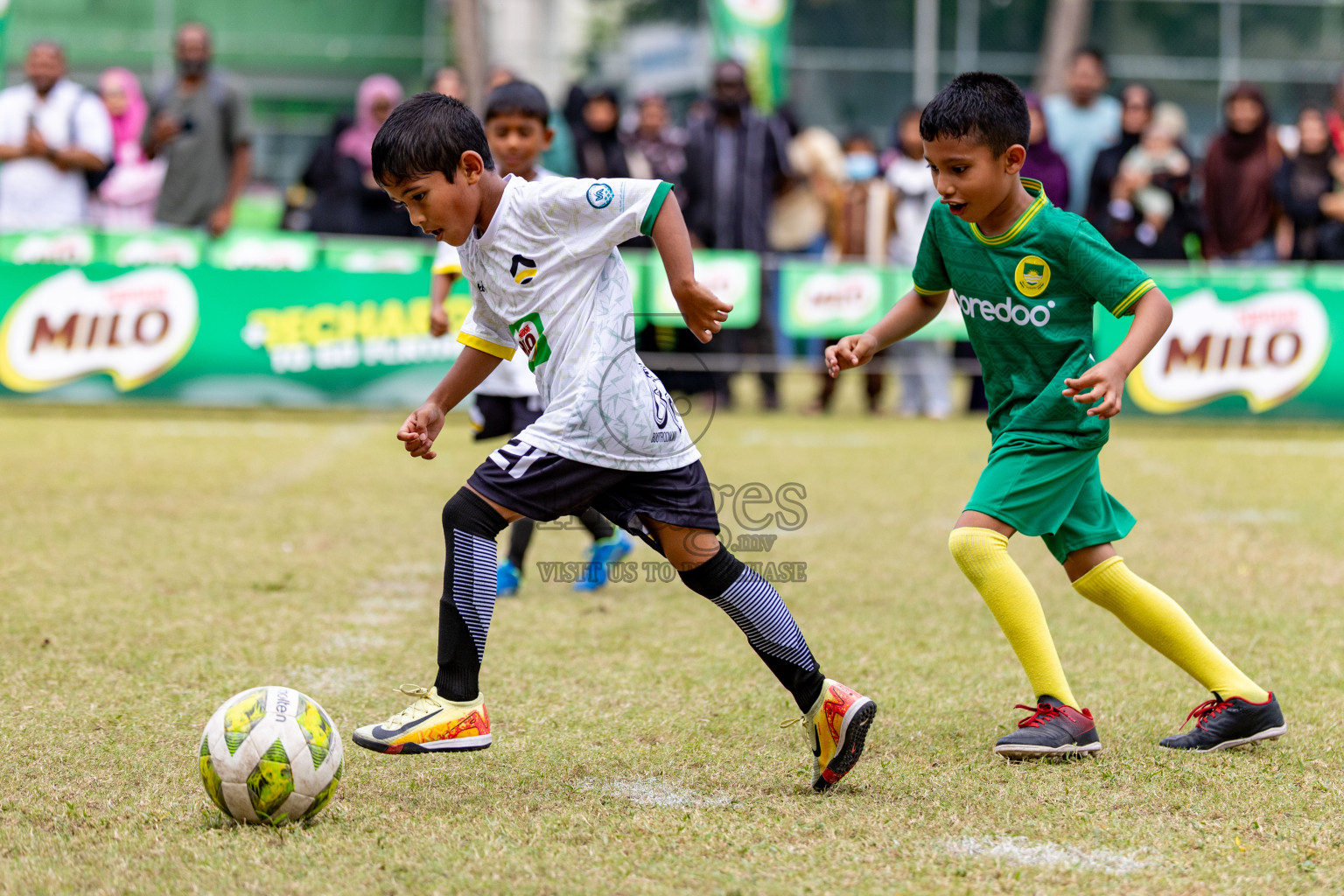 Day 1 of MILO SVAM Juniors 2025 (U-8) was held at Henveiru Stadium in Male', Maldives on Thursday, 26th June 2025. 
Photos: Hassan Simah / images.mv