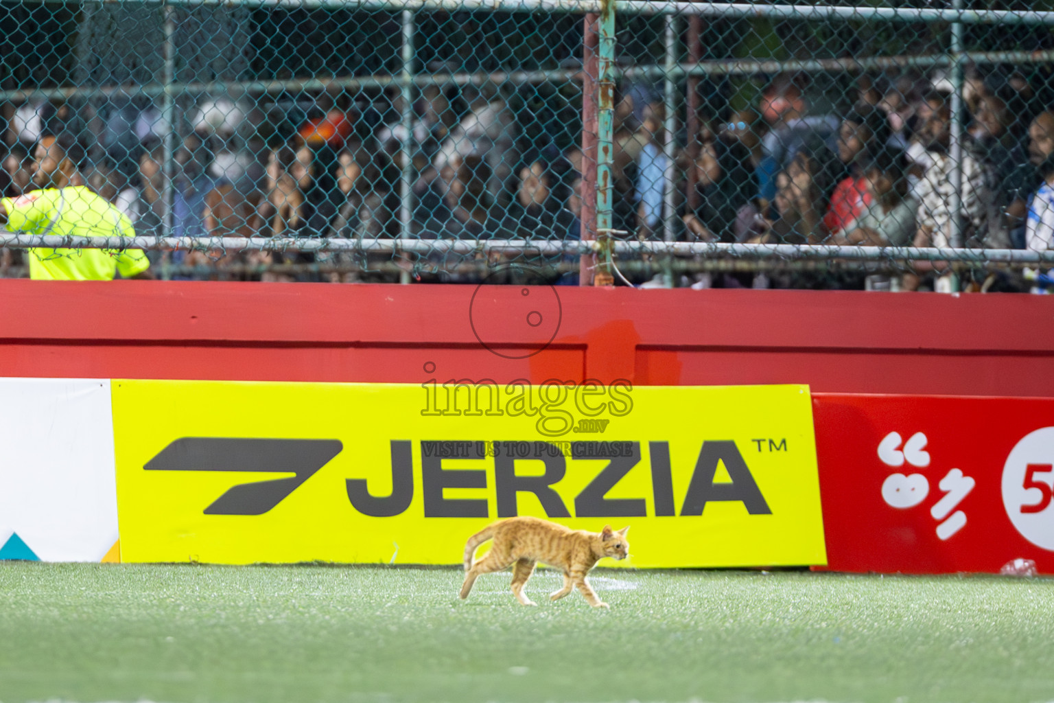 HDh Nolhivaran vs HDh Nellaidhoo in Day 5 of Golden Futsal Challenge 2025 on Thursday, 9th January 2025, in Hulhumale', Maldives
Photos: Ismail Thoriq / images.mv