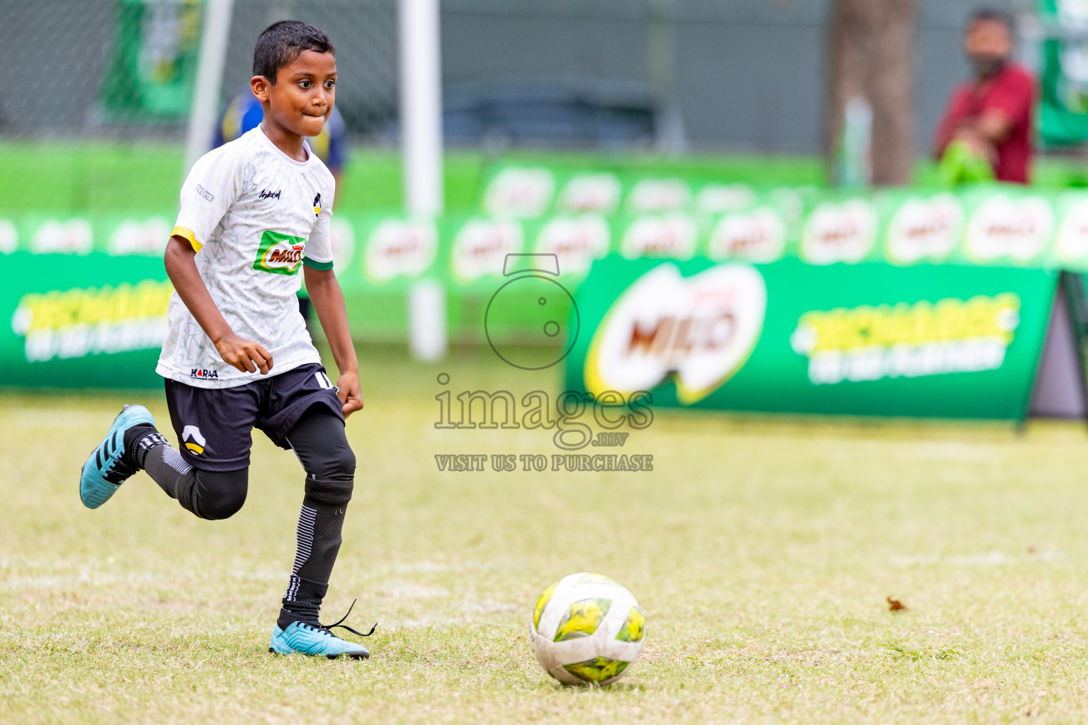 Day 1 of MILO SVAM Juniors 2025 (U-8) was held at Henveiru Stadium in Male', Maldives on Thursday, 26th June 2025. 
Photos: Hassan Simah / images.mv