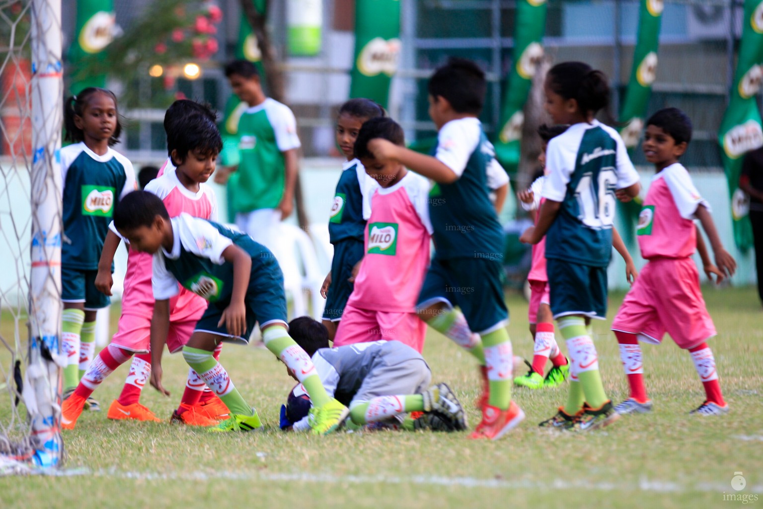 Day 1 of Milo Kids Football Fiesta in Male', Maldives, Wednesday, October. 12, 2016 (Images.mv Photo/ Abdullah Sham).