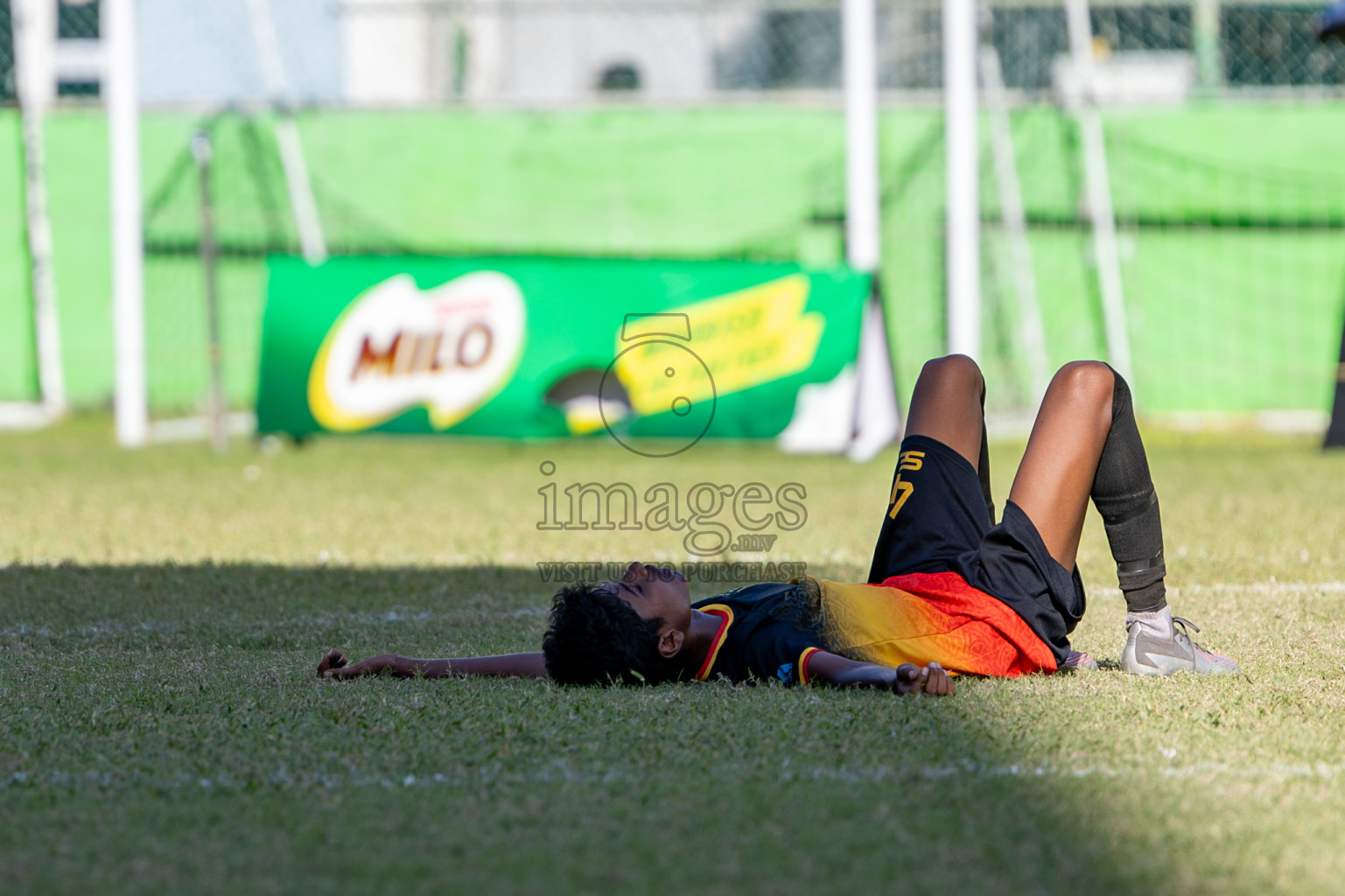 Day 3 of MILO Academy Championship 2024 (U-14) was held in Henveyru Stadium, Male', Maldives on Saturday, 2nd November 2024.
Photos: Hassan Simah / Images.mv