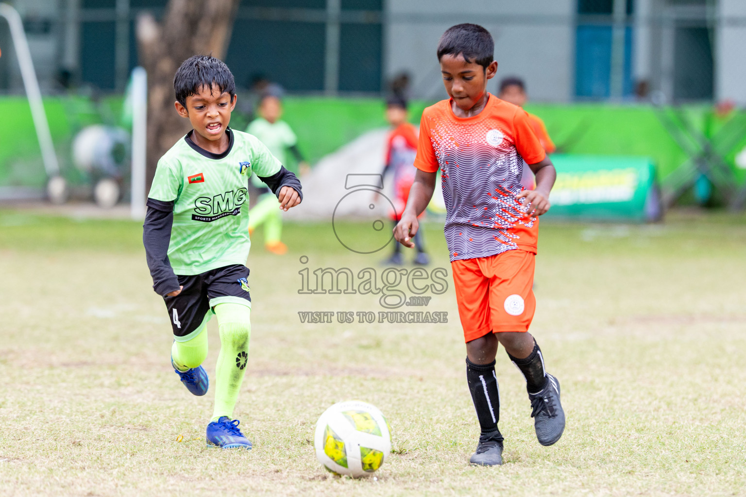 Day 2 of MILO SVAM Juniors 2025 (U-8) was held at Henveiru Stadium in Male', Maldives on Friday, 27th June 2025. 

Photos: Hassan Simah / images.mv