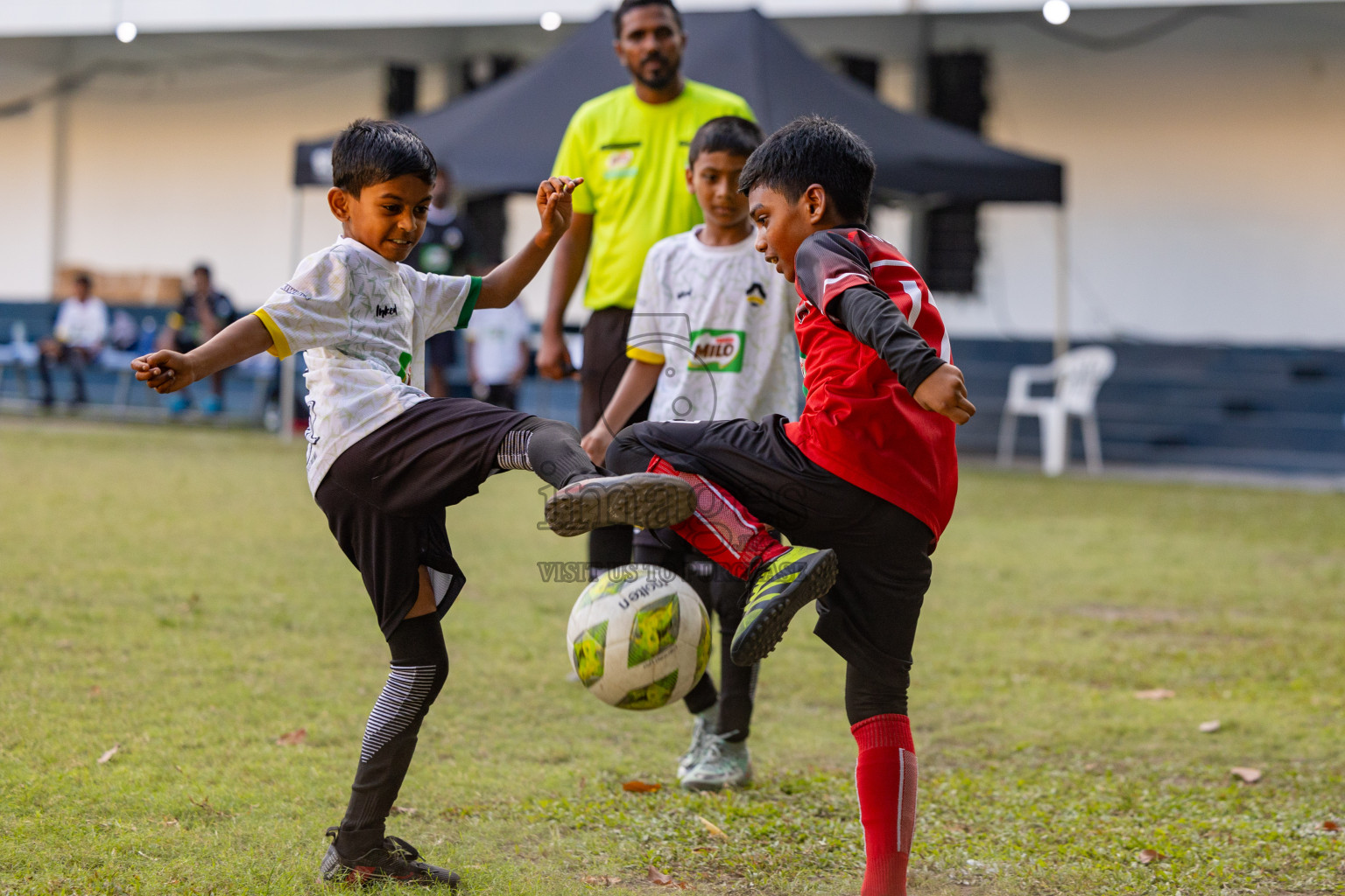 Day 2 of MILO Academy Championship 2025 was held on Friday, 14th February 2025 in Henveiru Stadium. 
Photos: Hassan Simah / Images.mv
