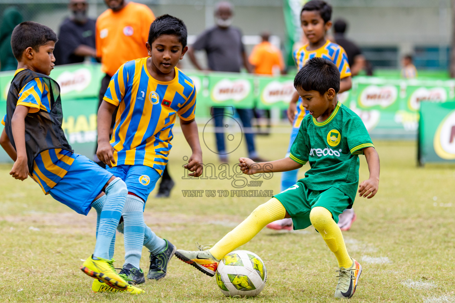 Day 1 of MILO SVAM Juniors 2025 (U-8) was held at Henveiru Stadium in Male', Maldives on Thursday, 26th June 2025. 
Photos: Hassan Simah / images.mv