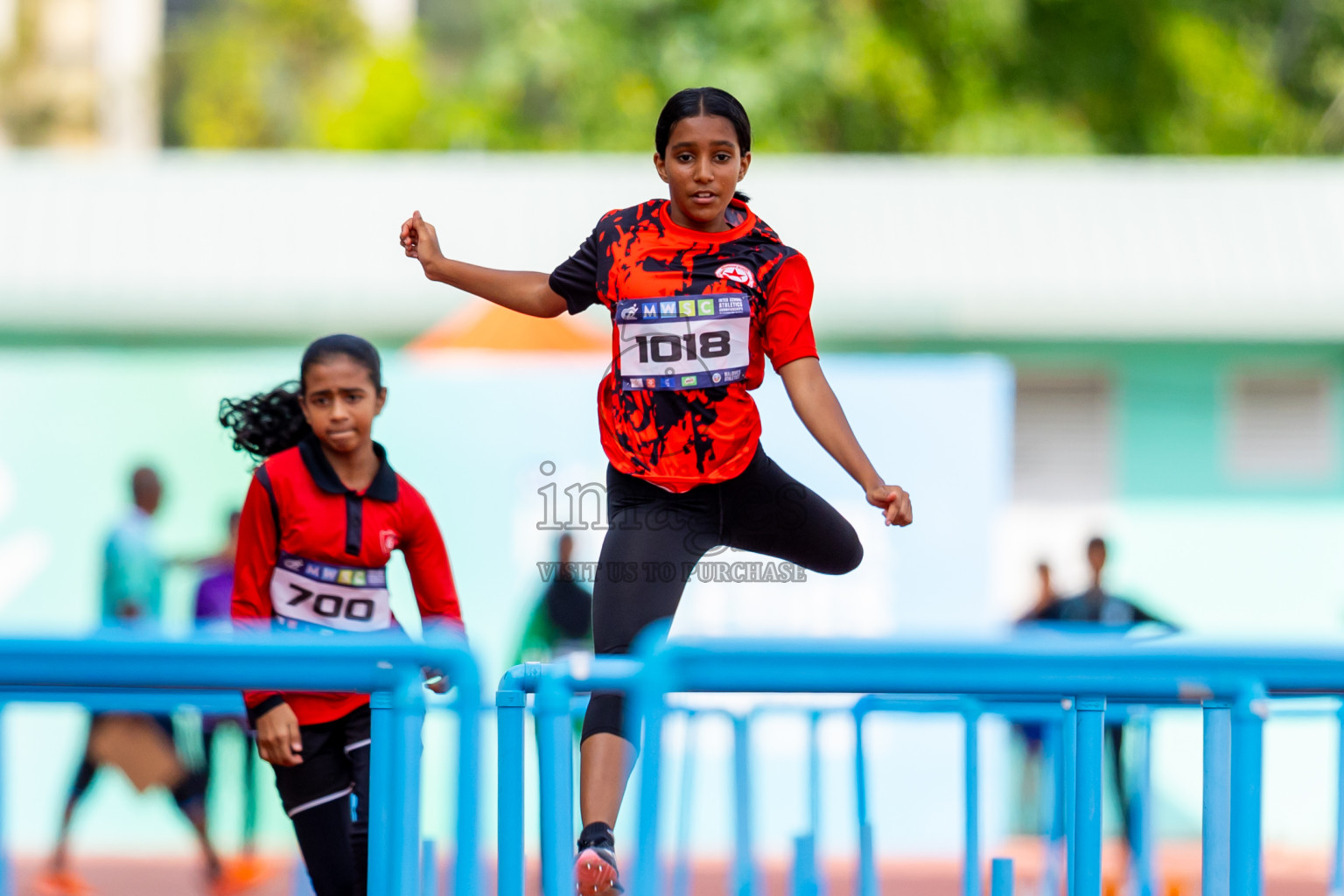 Day 4 of MWSC Interschool Athletics Championships 2024 held in Hulhumale Running Track, Hulhumale, Maldives on Tuesday, 12th November 2024. Photos by: Nausham Waheed / Images.mv