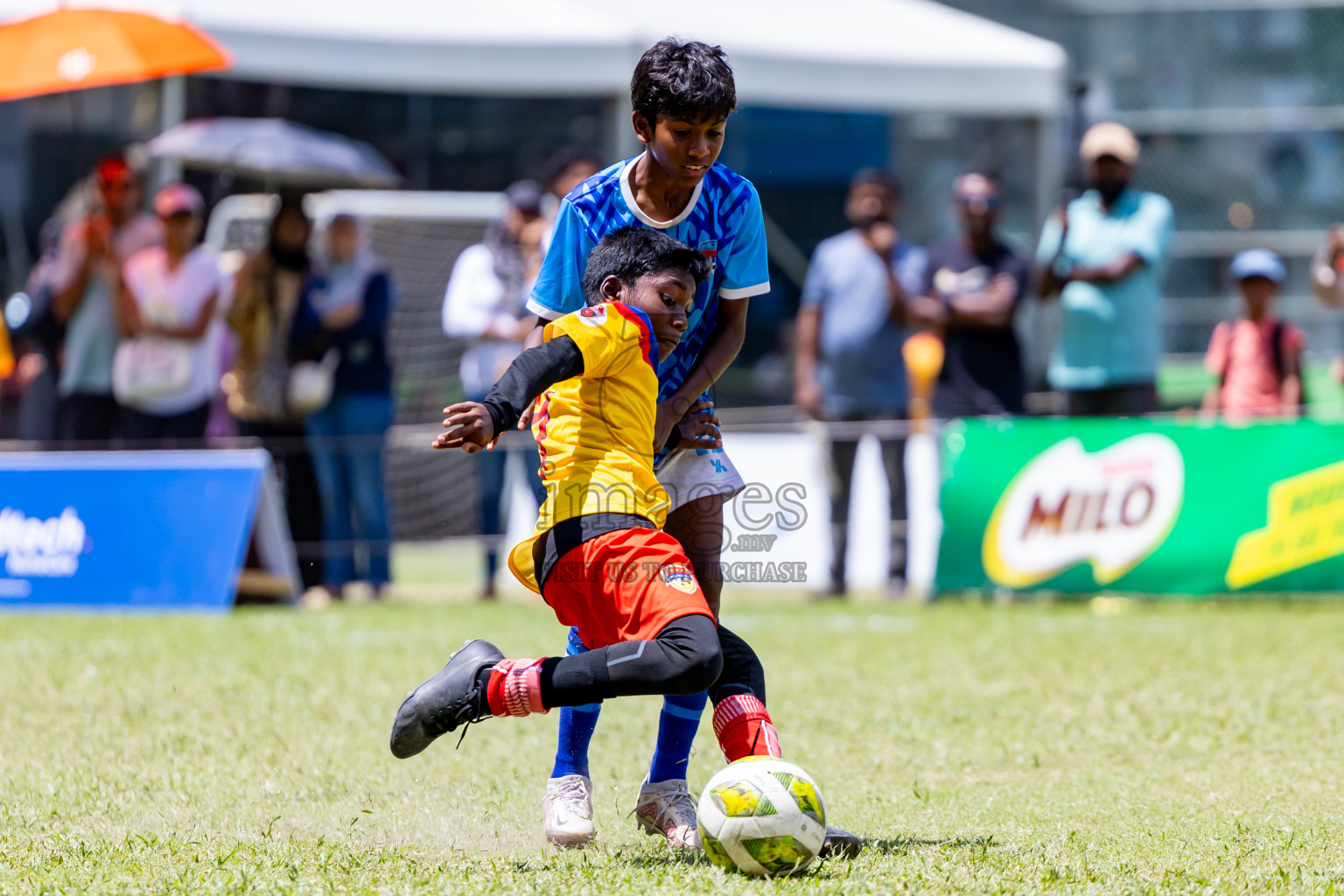 Day 3 MILO Kids 7s Weekend 2024 held in Male, Maldives on Saturday, 19th October 2024. Photos: Nausham Waheed / images.mv