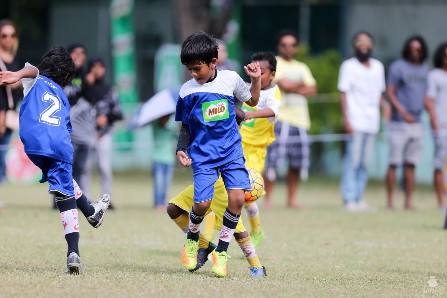Day 4 of Milo Kids Football Fiesta in Male', Maldives, Saturday, February 18, 2017.(Images.mv Photo/ Hussain Sinan).